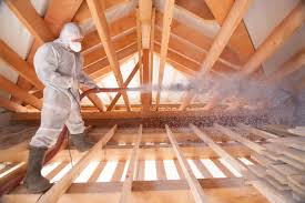 Best Eco-Friendly Insulation Solutions  in Haliimaile, HI